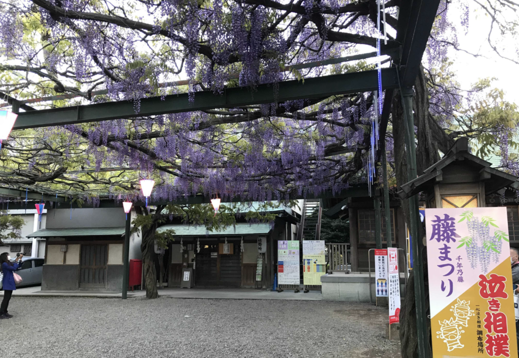 調布駅周辺と国領神社：調布市のひとり旅・散歩におすすめの観光＆食べ歩きスポット