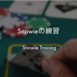 ポーカー：Snowieの練習