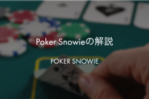 Poker Snowieの解説