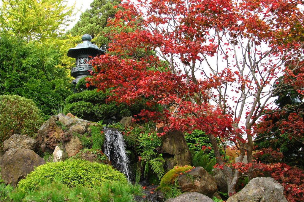 日本庭園にあるもの：役木（植物）